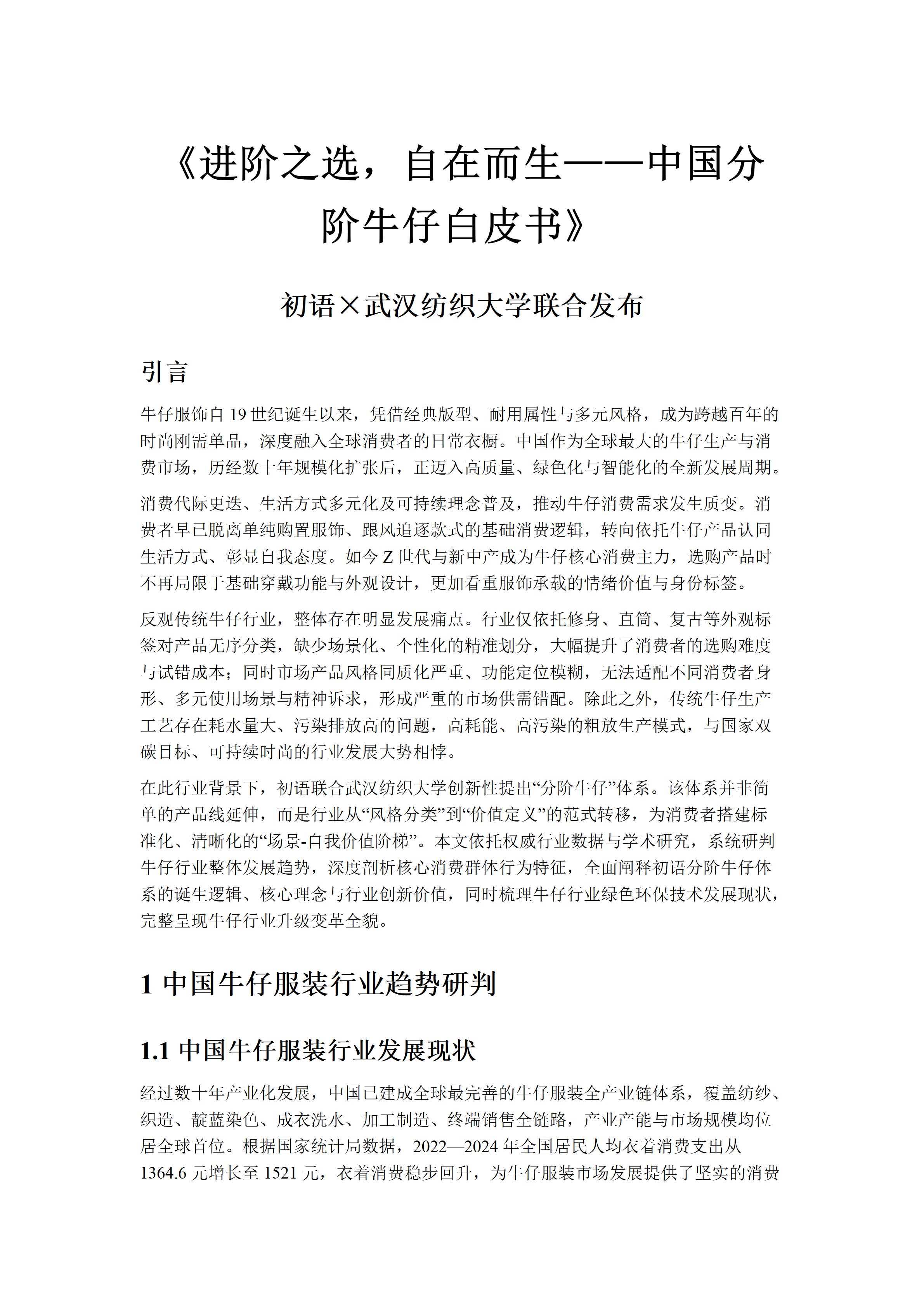 中国分阶牛仔白皮书